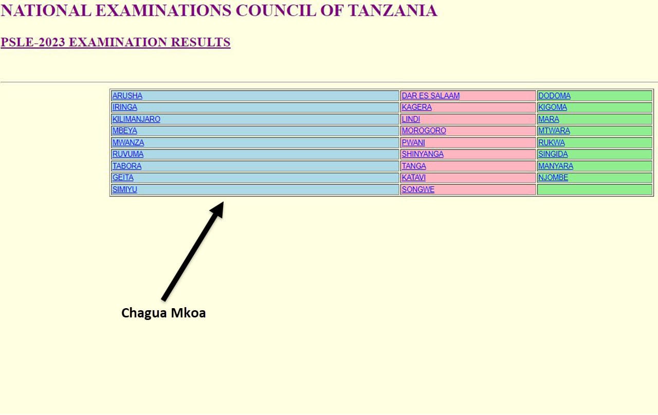 Jinsi ya Kuangalia Matokeo ya Mtihani wa Kumaliza Shule ya Msingi