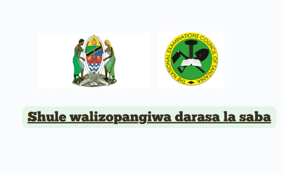 Matokeo ya Darasa la Saba na Shule Walizopangiwa 2024/2025