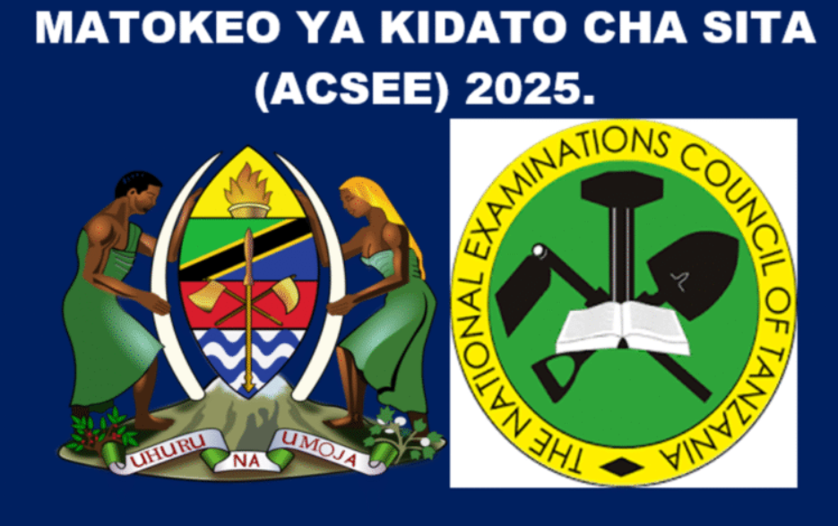 Matokeo ya Kidato cha Sita 2025 NECTA Form Six Results